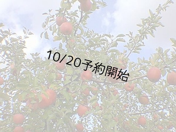 画像1: 完熟りんご『サンふじ』 秀 3kg (1)