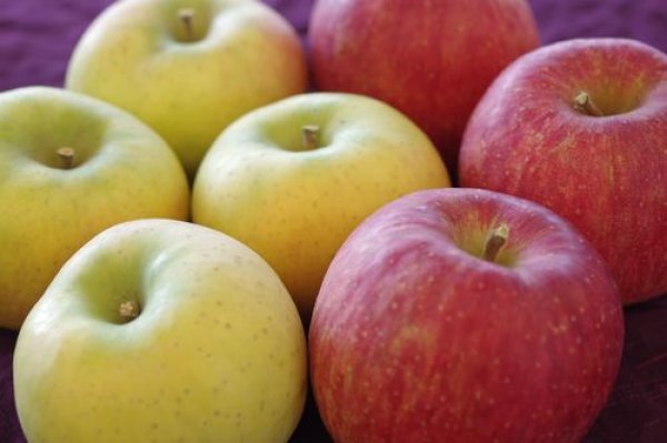 画像1: 【数量限定】お試しスペシャル企画：りんご詰め合わせ『サンふじ＆ぐんま名月＆はるか』 秀 5kg箱 (1)