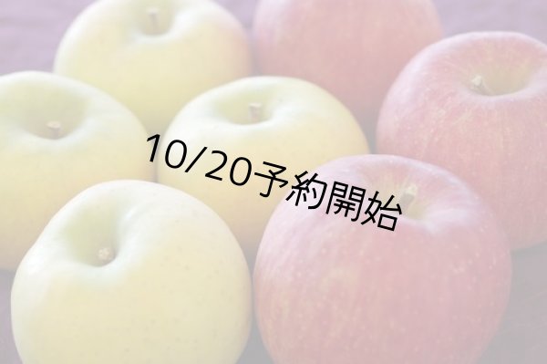 画像1: りんご詰め合わせ『サンふじ＆ぐんま名月』 秀 5kg (1)