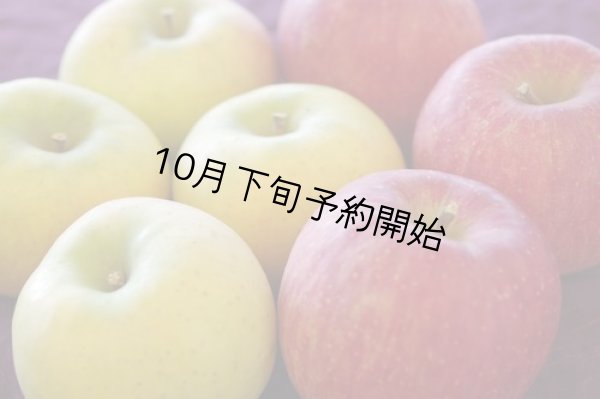画像1: りんご詰め合わせ『サンふじ＆ぐんま名月』 秀 5kg (1)