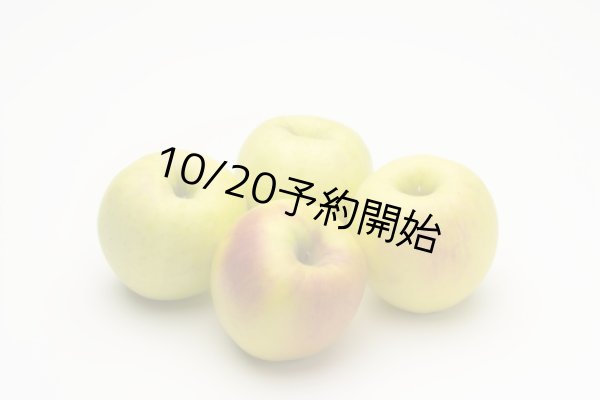 画像1: りんご『ぐんま名月』（10kg箱、5kg箱、3kg箱） (1)