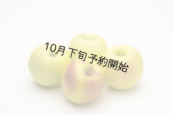 画像1: 11月に食べるならこれ！りんご『きみと』（10kg箱、5kg箱、3kg箱） (1)