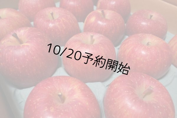 画像1: 完熟りんご『サンふじ』 無印  5kg (1)