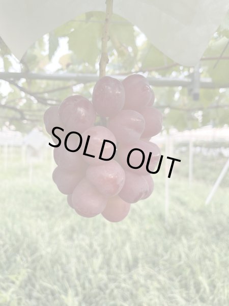 画像1: 甘くて、かわいいハート形『マイハート』 (1)